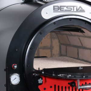 Rocket Owen | The Beast